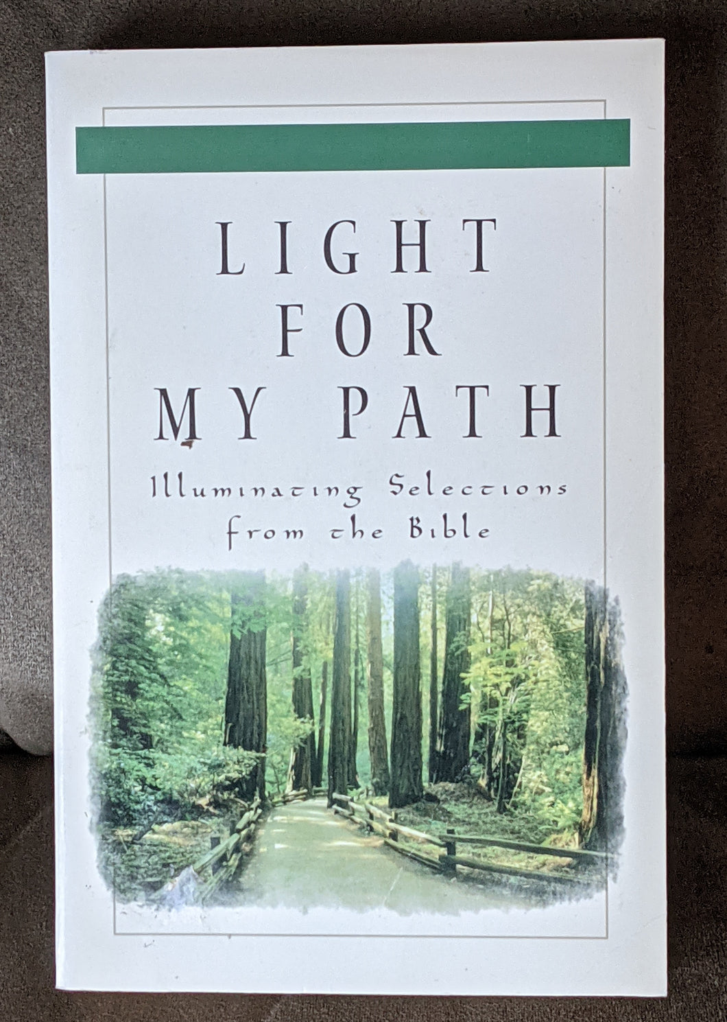 Light For My Path